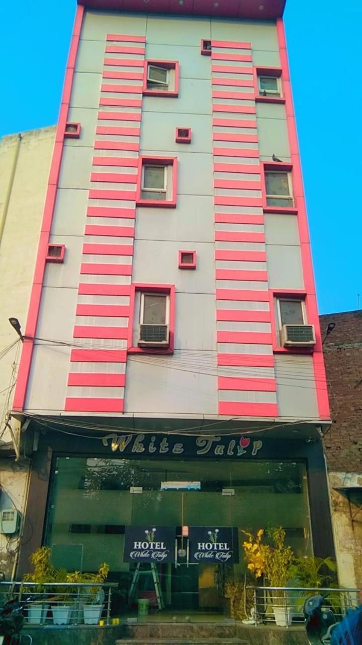 Hotel White Tulip Amritsar Exterior photo